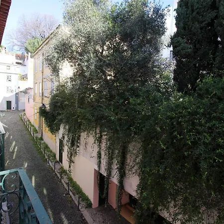 Wot New Lisbon * Lisbon